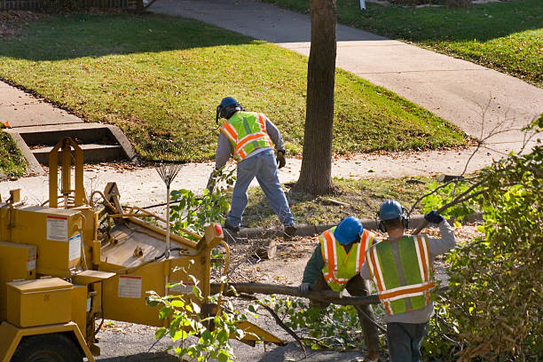 Best Lawn Pest Prevention  in Reed Creek, GA